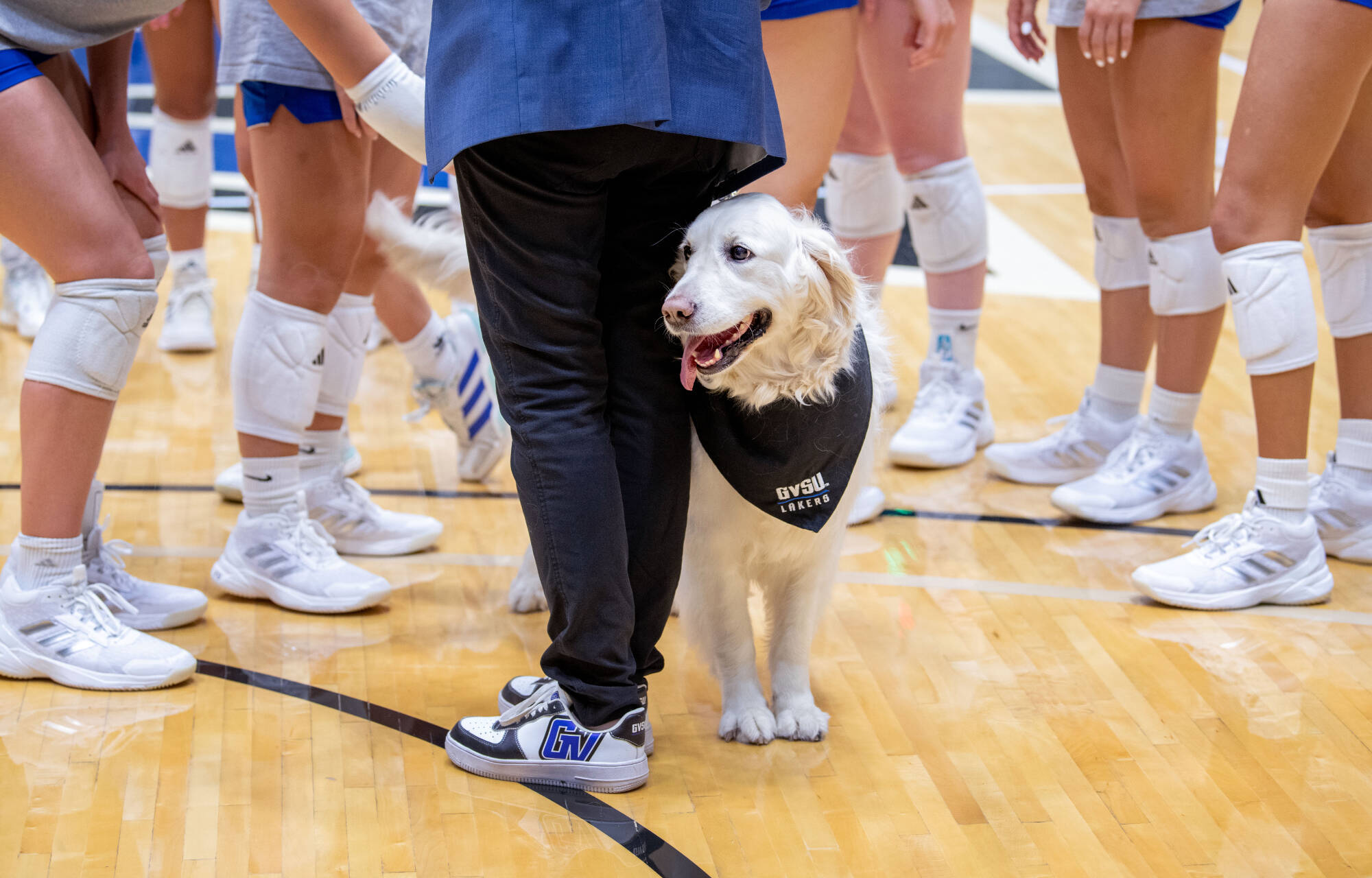 President Philomena V. Mantella and her dog, Lily, visit the women’s volleyball team during move-in week.